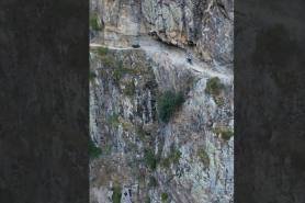 Mountain biker cliff