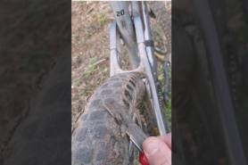 Mountain biking bald tires