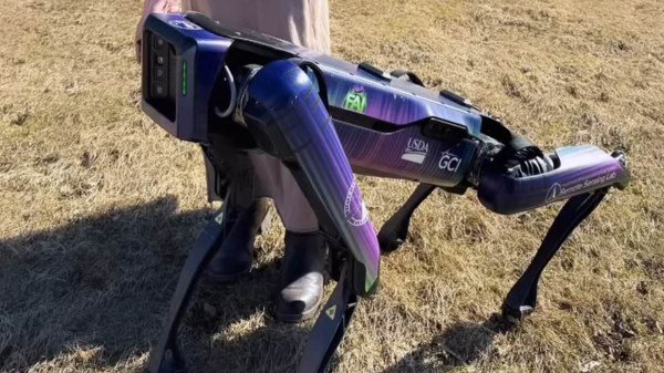 aurora robot dog