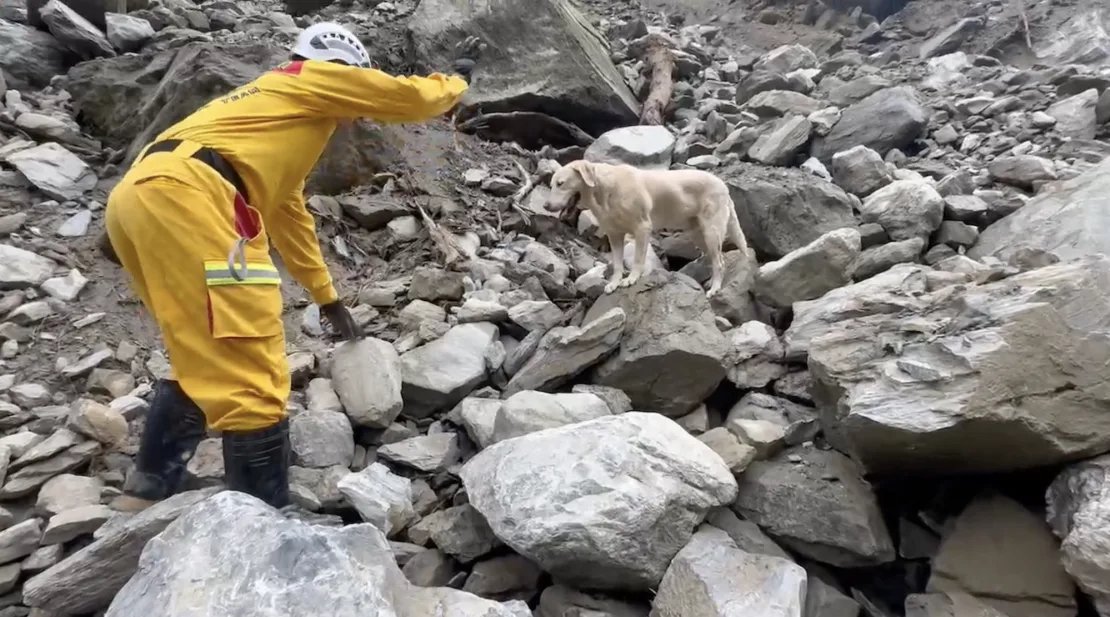 dog earthquake rescue