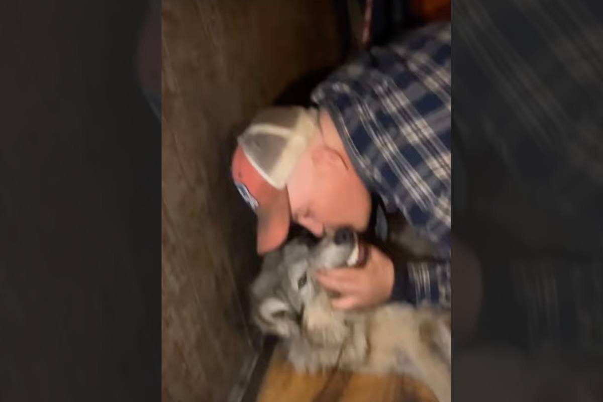 man kissing dying wolf