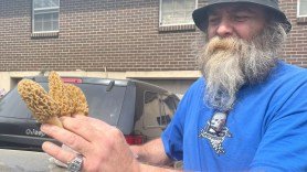 mushroom forager finds skull