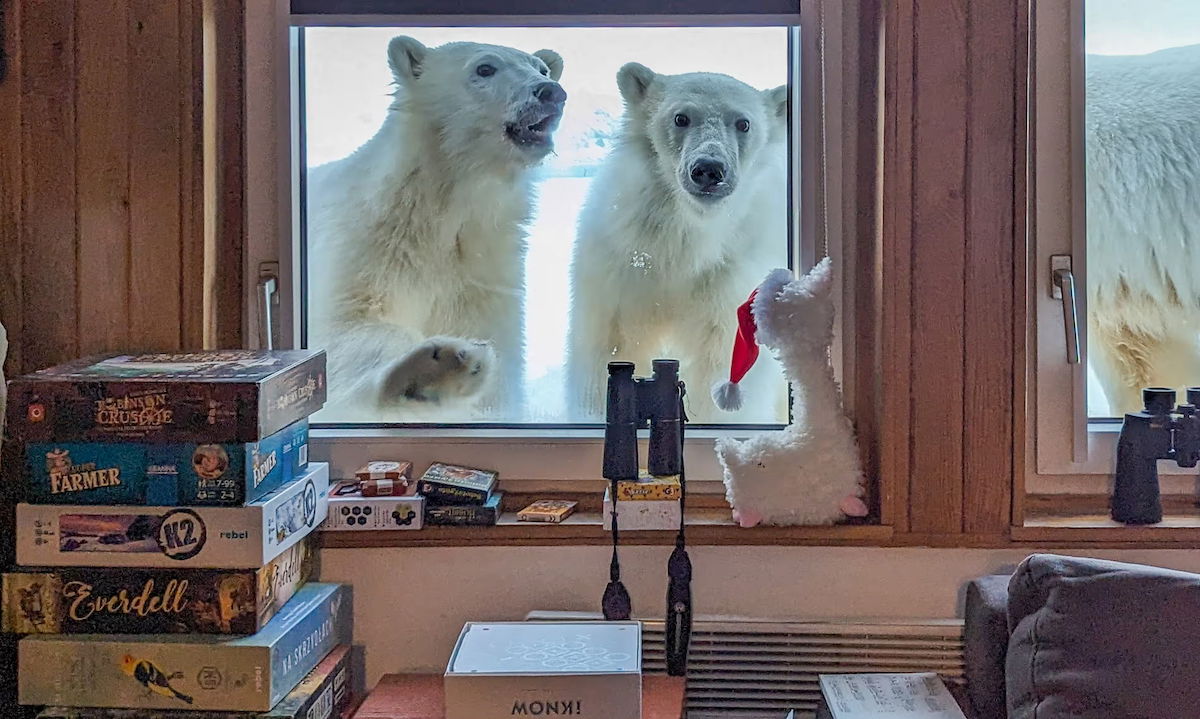 Best Selling Products polar-bears-1 Polar Bears Peek in on Researcher’s Breakfast in Svalbard Blog  