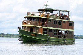 Amazon jungle cruise 1