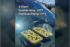 Saguaro national park baking on dashboard
