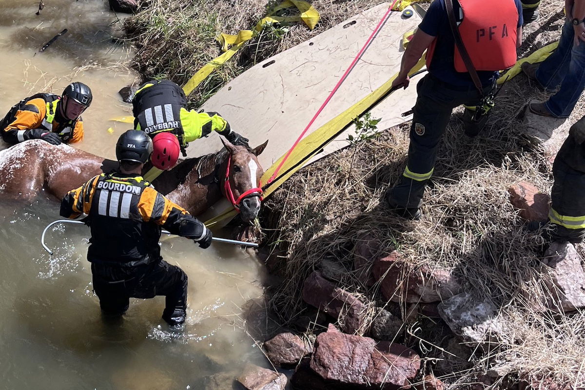 Best Selling Products blind-horse-rescue-3 WATCH: Colorado Fireplace Division Rescues Blind Horse from Drowning Blog  