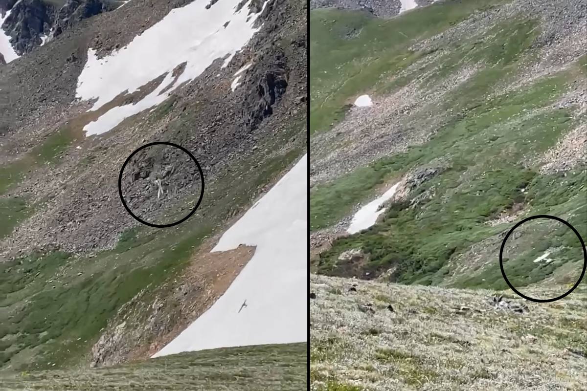 Best Selling Products plane-almost-crashes Hiker Captures Jaw-Dropping Footage of a Aircraft’s Shut Name Blog  