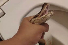 python bit man on toilet in thailand