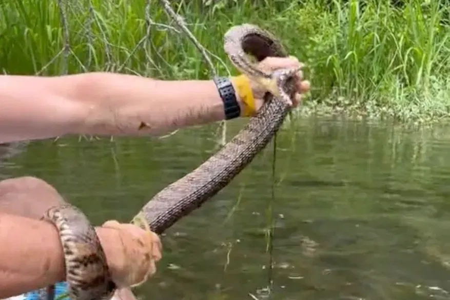 Best Selling Products Texas-man-pull-snake-from-river-while-tubing Texas Man Pulls Snake out of Water Whereas Tubing Down a River Blog  