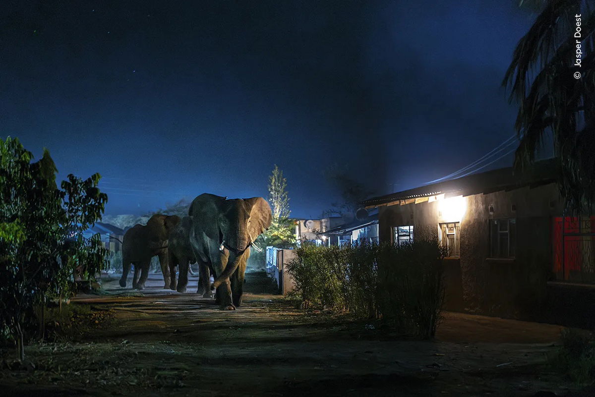 Curfew in Livingstone by Jasper Doest