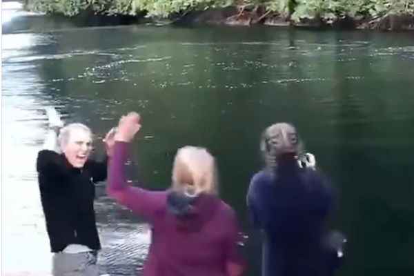 women freak out about seeing humpback whales up close