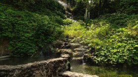 hot springs national park