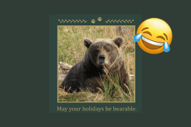 blunt holiday greetings NPS